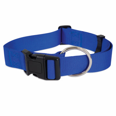 Petmate, Collier en nylon pour chien, bleu, 1 x 20-In. (Pack de 3)