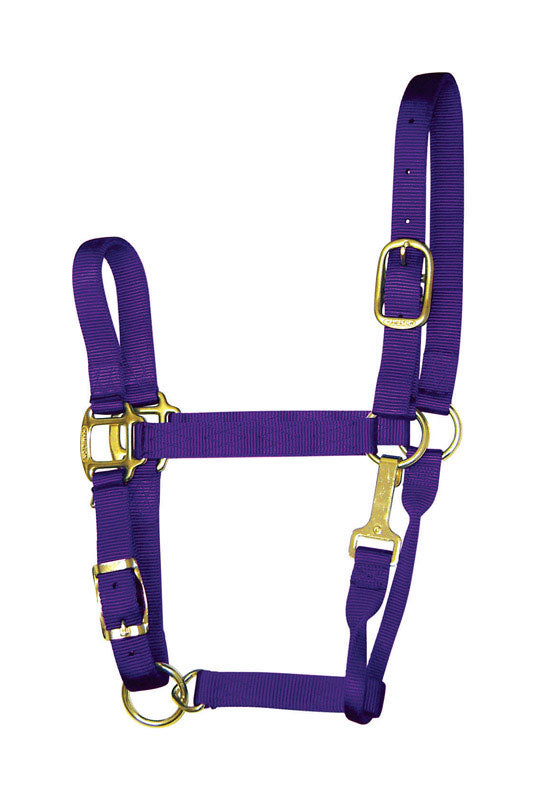 PRODUITS MIRACLE CORP, Hamilton Nylon Halter