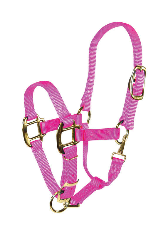 PRODUITS MIRACLE CORP, Hamilton Nylon Halter