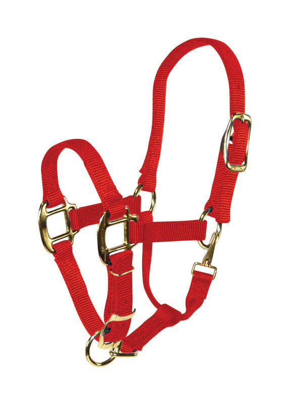 PRODUITS MIRACLE CORP, Hamilton Nylon Halter