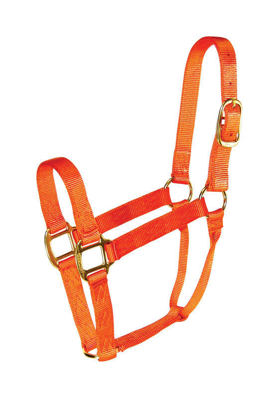 PRODUITS MIRACLE CORP, Hamilton Nylon Halter