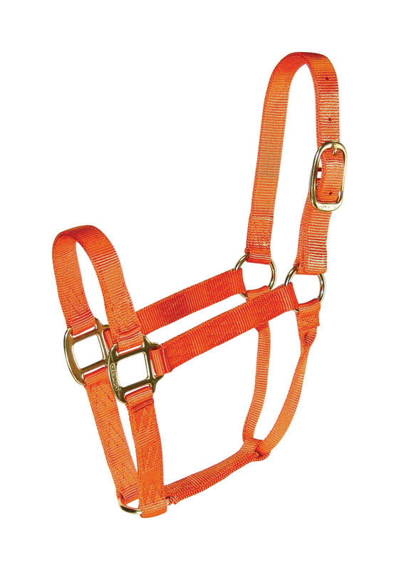 PRODUITS MIRACLE CORP, Hamilton Nylon Halter