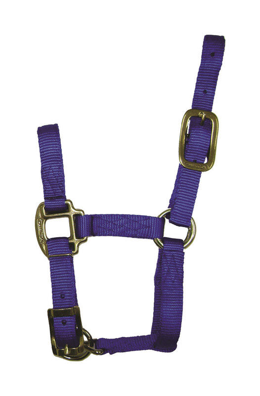 PRODUITS MIRACLE CORP, Hamilton Nylon Halter