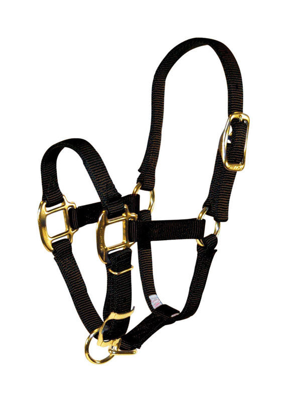 PRODUITS MIRACLE CORP, Hamilton Nylon Halter