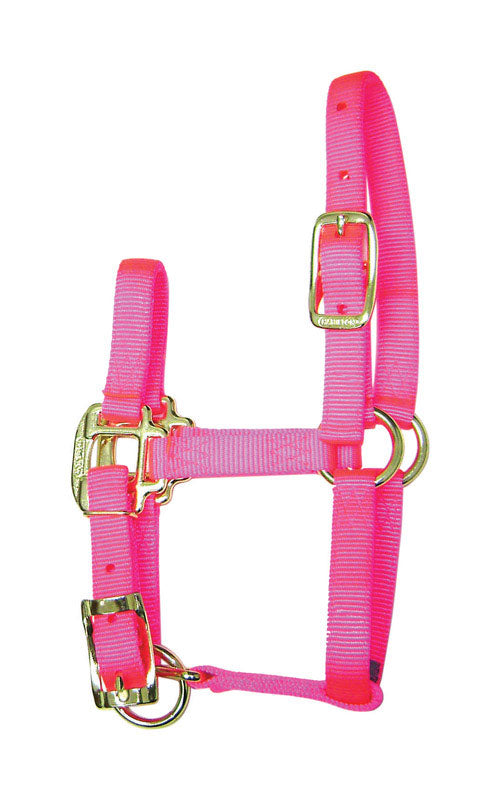 PRODUITS MIRACLE CORP, Hamilton Nylon Halter