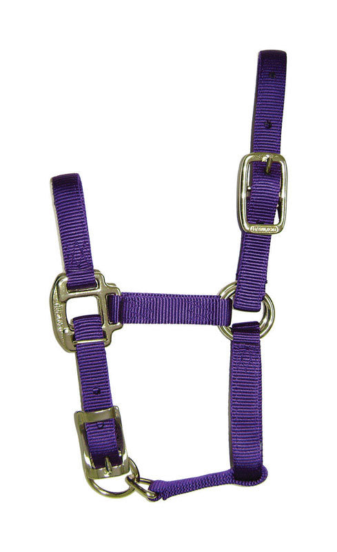 PRODUITS MIRACLE CORP, Hamilton Nylon Halter