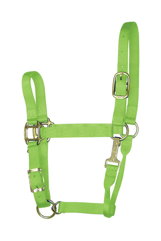 PRODUITS MIRACLE CORP, Hamilton Nylon Halter