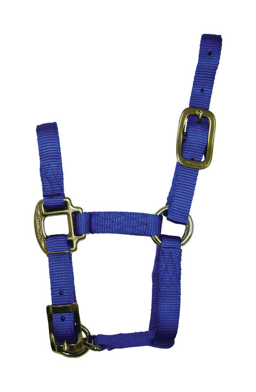 PRODUITS DU CORP MIRACLE, Hamilton Nylon Halter