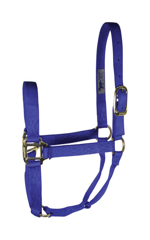 Hamilton, Nylon Halter Blu Lg